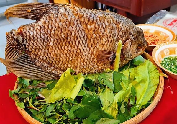 Cá tai tượng làm gì ngon? Gợi ý 7 món ngon từ cá tai tượng