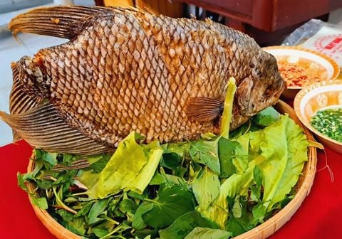 Cá tai tượng làm gì ngon? Gợi ý 7 món ngon từ cá tai tượng
