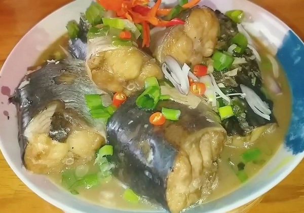 Cá úc là gì? Cá úc làm gì ngon? Gợi ý 3 món ngon từ cá úc