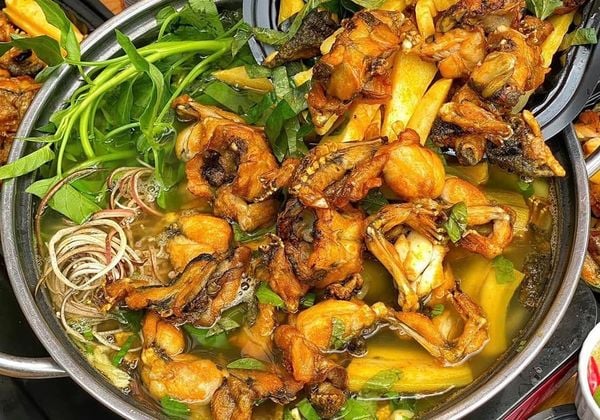 Cách nấu lẩu ếch lá lốt chuẩn vị thơm ngon cho cả nhà