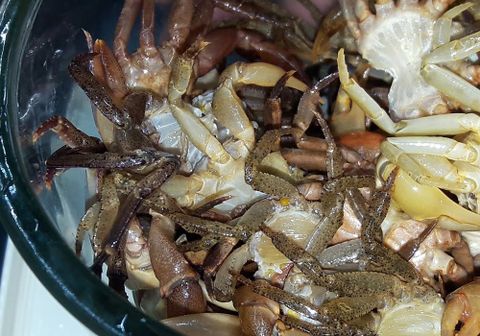 Hướng dẫn cách sơ chế cua đồng sạch không bị tanh