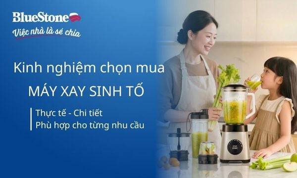 Kinh nghiệm mua máy xay sinh tố phù hợp với nhu cầu sử dụng