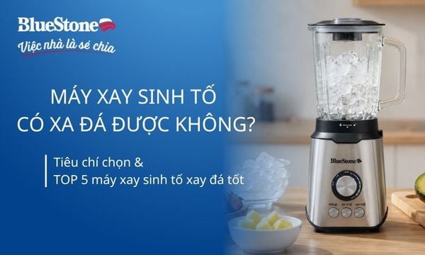 Máy xay sinh tố có xay đá được không? Tiêu chí chọn và TOP 5 máy tốt