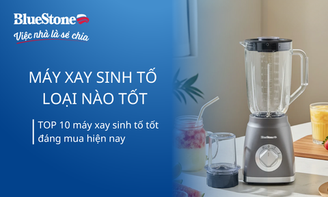 Máy xay sinh tố loại nào tốt? TOP 10 máy xay sinh tố tốt, đáng mua hiện nay