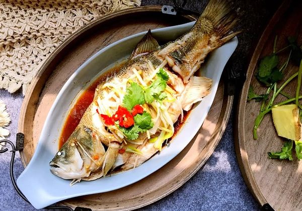 Cá nheo làm gì ngon? Tổng hợp 10 món ngon từ cá vược