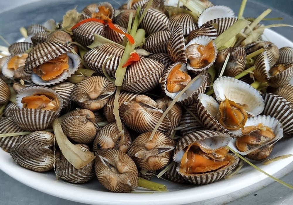 Sò lông làm món gì ngon? Gợi ý 10+ món ngon từ sò lông