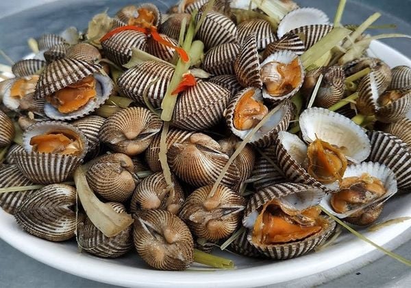 Sò lông làm món gì ngon? Gợi ý 10+ món ngon từ sò lông