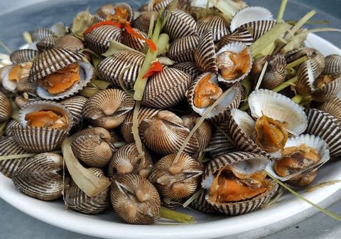 Sò lông làm món gì ngon? Gợi ý 10+ món ngon từ sò lông