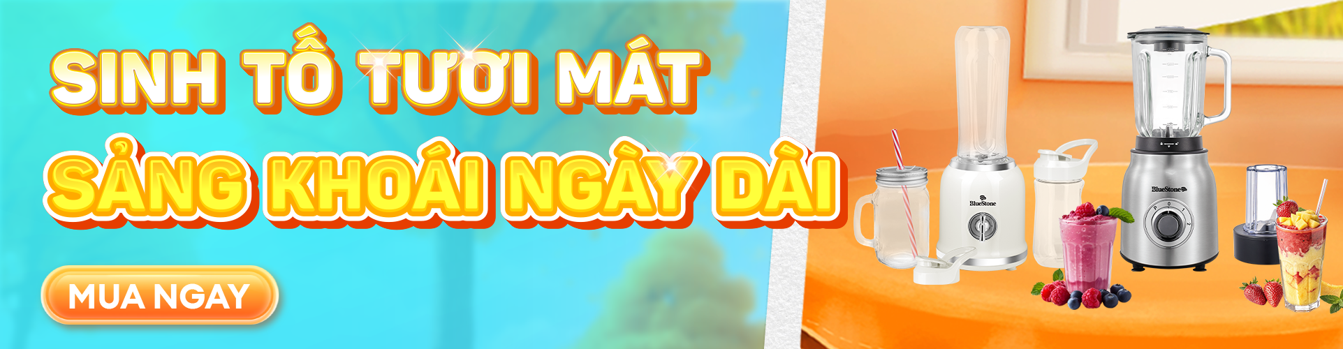 Máy xay sinh tố