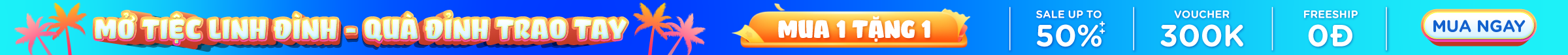 Banner 1
