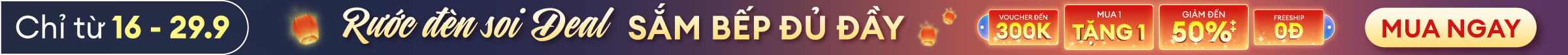 Banner 1