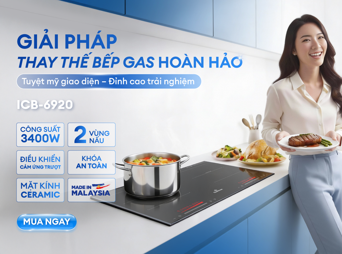 Bếp Từ Đôi BlueStone ICB-6920