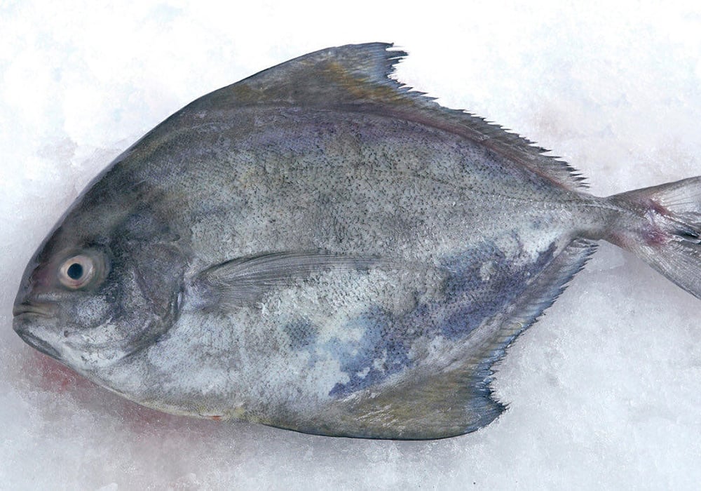 Hướng dẫn chọn mua nguyên liệu tươi ngon