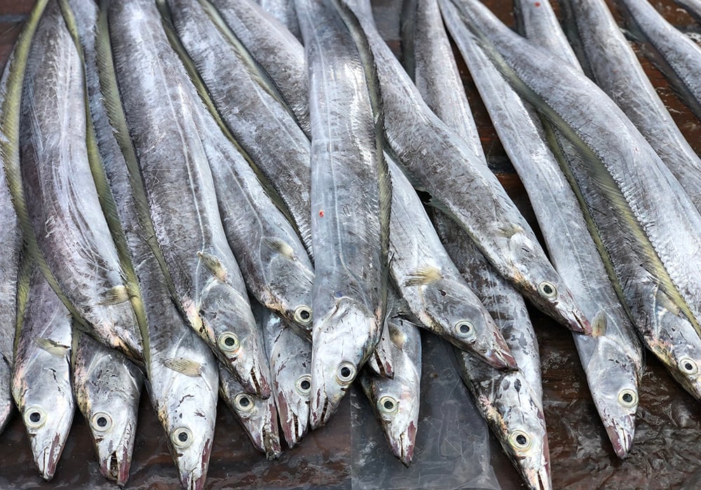 Hướng dẫn chọn mua nguyên liệu tươi ngon
