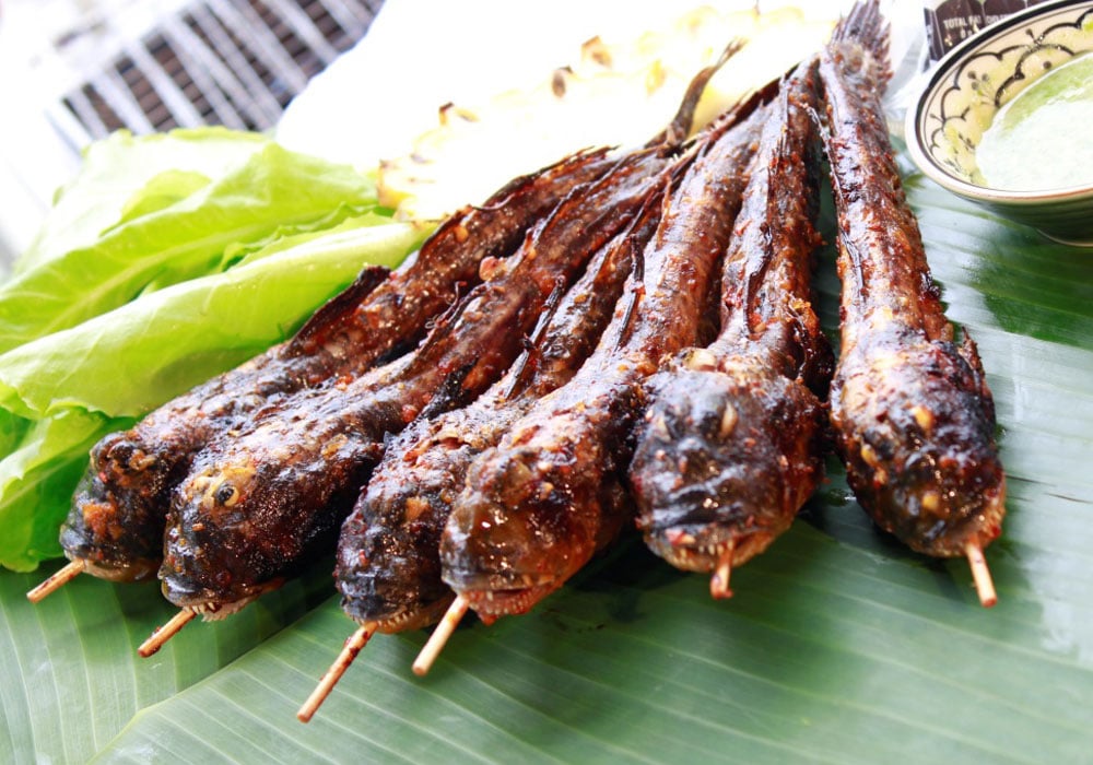 Giá trị dinh dưỡng của cá thòi lòi
