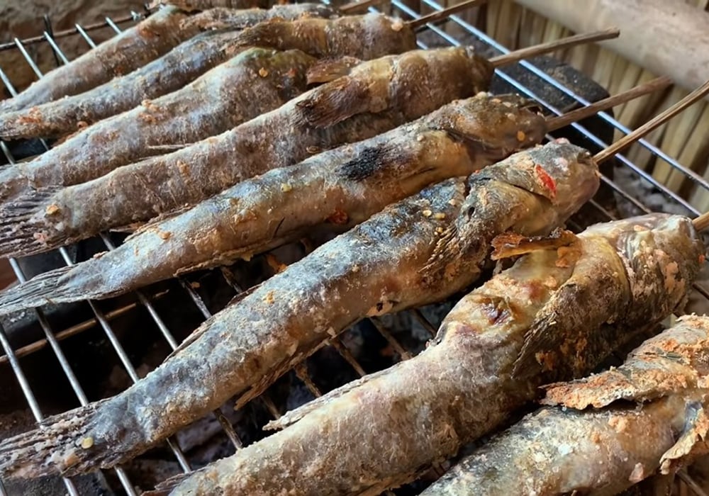 Cá thòi lòi nướng
