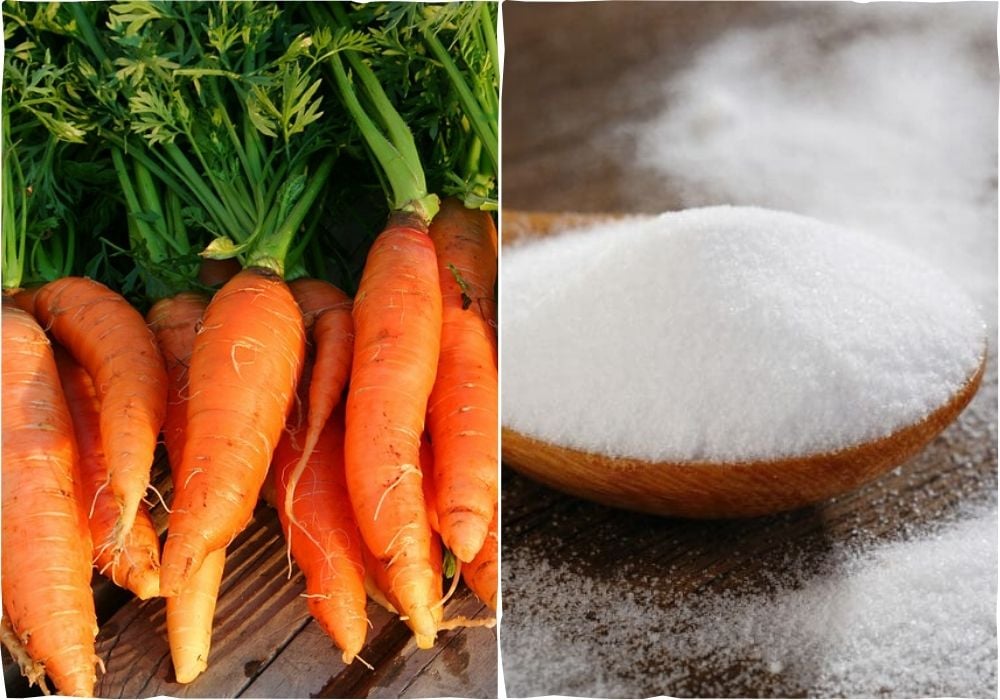 Nguyên liệu làm mứt cà rốt sợi