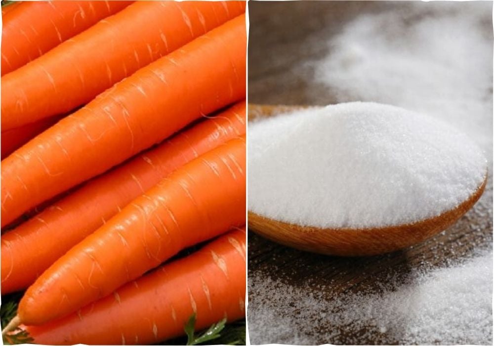 Nguyên liệu làm mứt cà rốt sấy khô