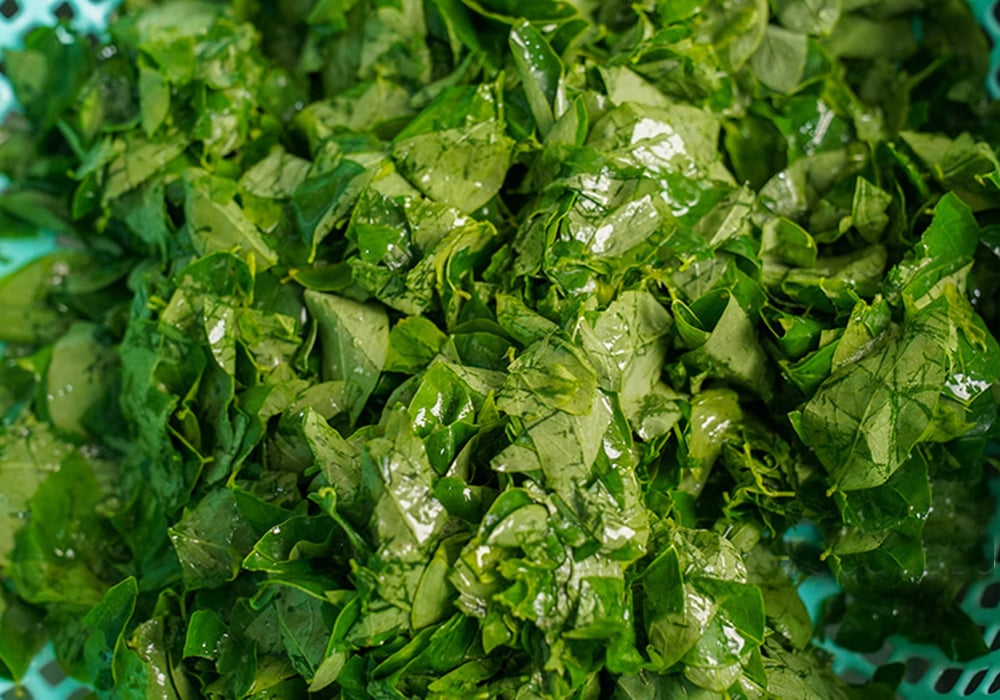 Sơ chế các nguyên liệu