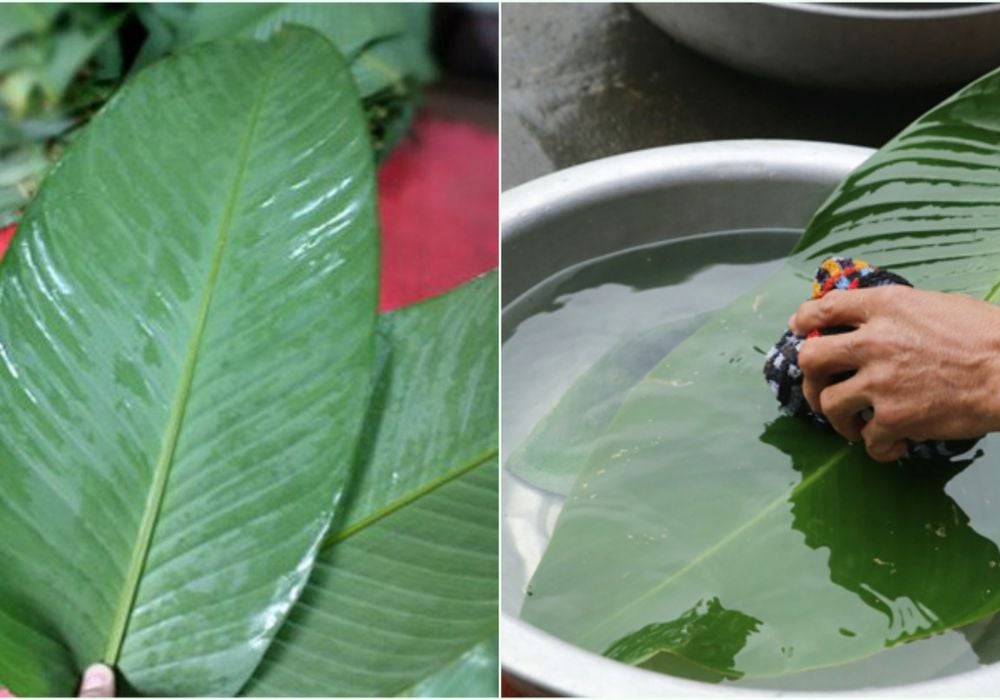 Dùng lá dư chèn dưới đáy nồi