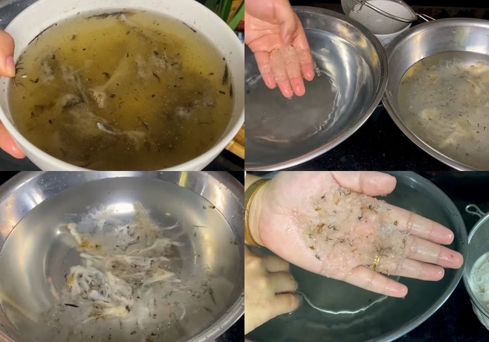 Sơ chế tổ yến