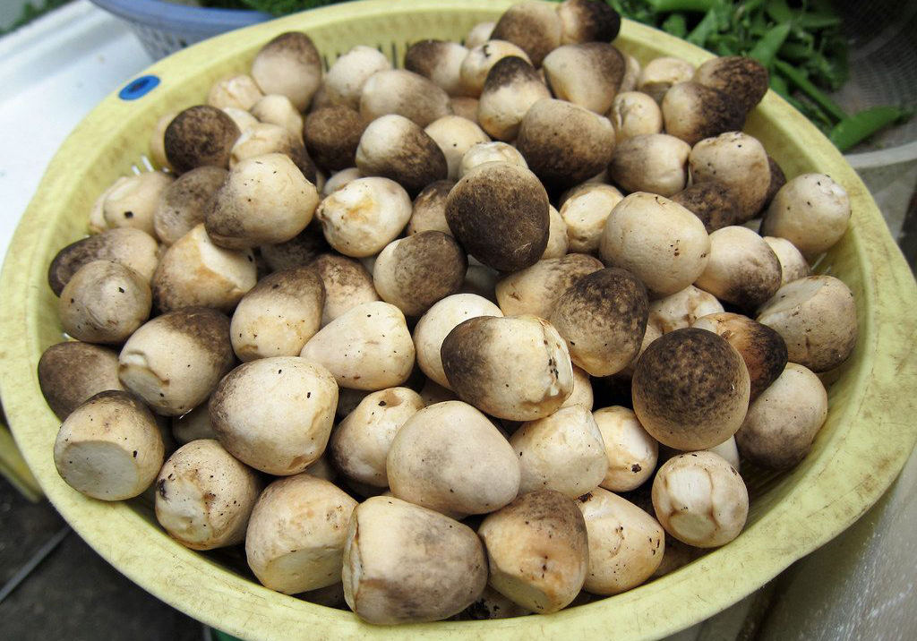 Hướng dẫn chọn mua nguyên liệu tươi ngon