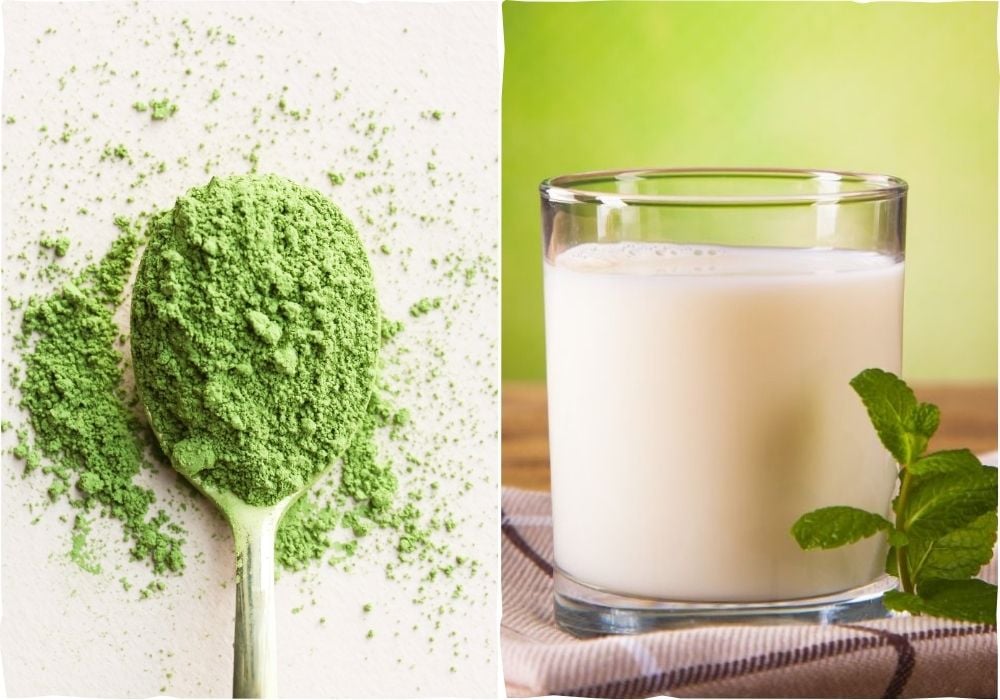 Nguyên liệu làm matcha latte nóng