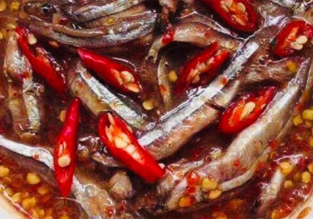 Mắm cá cơm