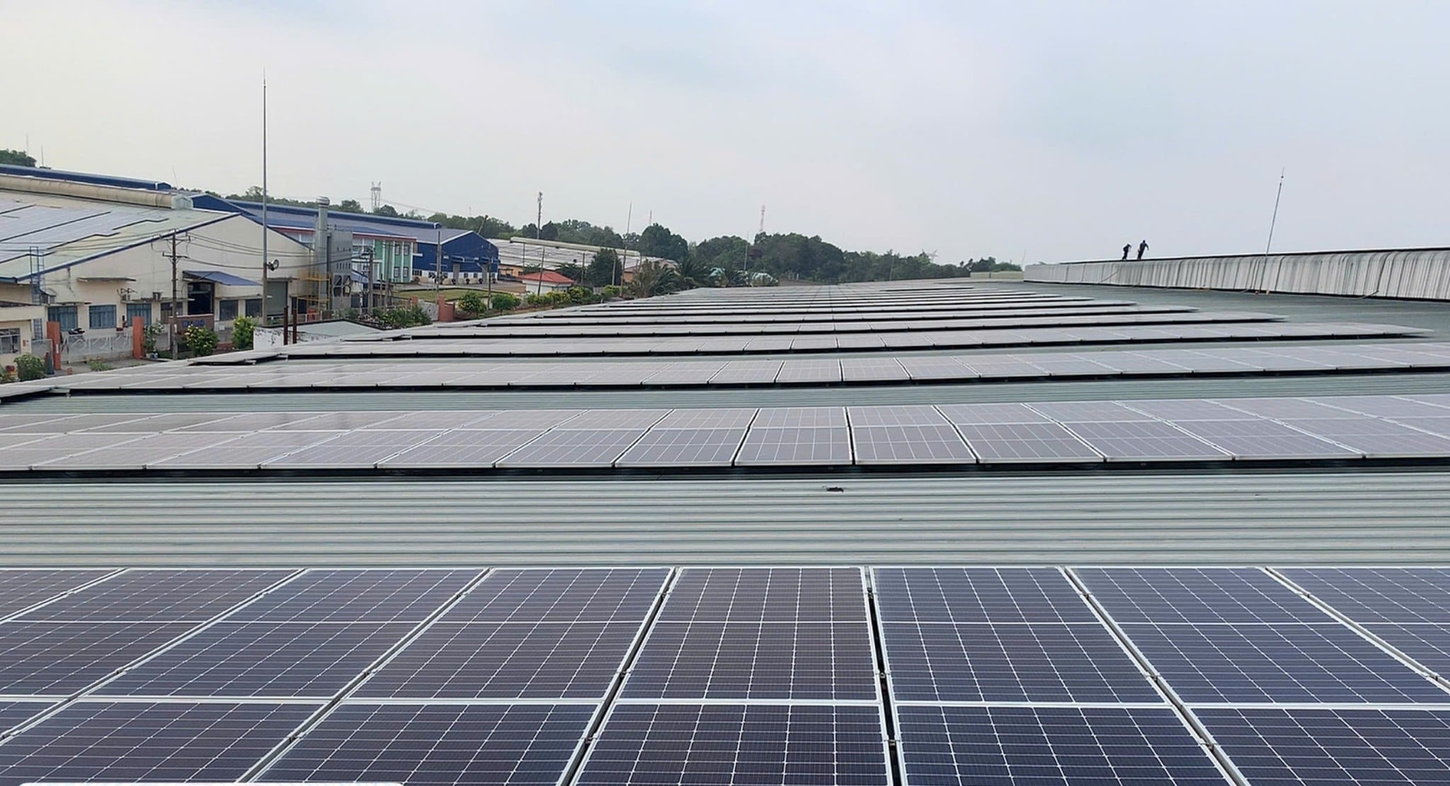 Dự Báo Xu Hướng Pin Năng Lượng Mặt Trời 2025–2030