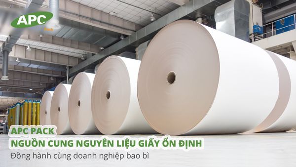 Giấy cuộn nguyên liệu APC Pack – Nền tảng ổn định cho chuỗi sản xuất bao bì giấy