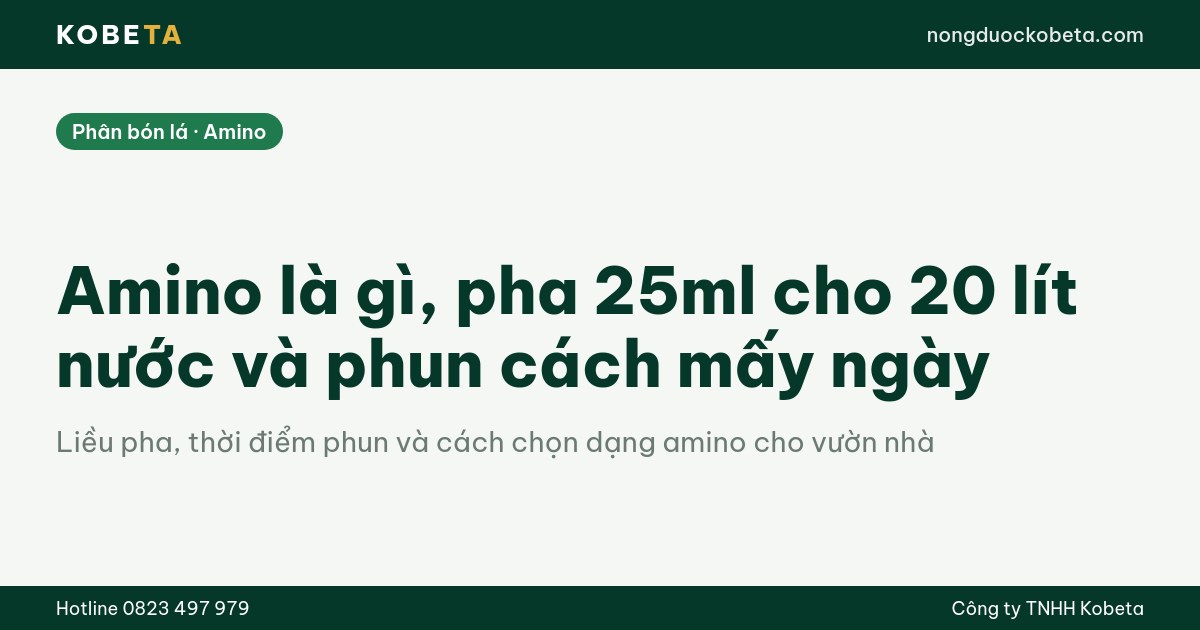 Amino là gì, pha 25ml cho 20 lít nước và phun cách mấy ngày