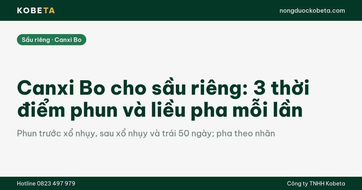 Canxi Bo cho sầu riêng: 3 thời điểm phun và liều pha mỗi lần