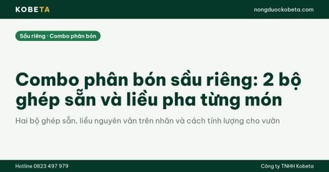 Combo phân bón sầu riêng: 2 bộ ghép sẵn và liều pha từng món