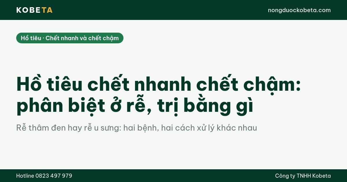 Hồ tiêu chết nhanh chết chậm: phân biệt ở rễ, trị bằng gì