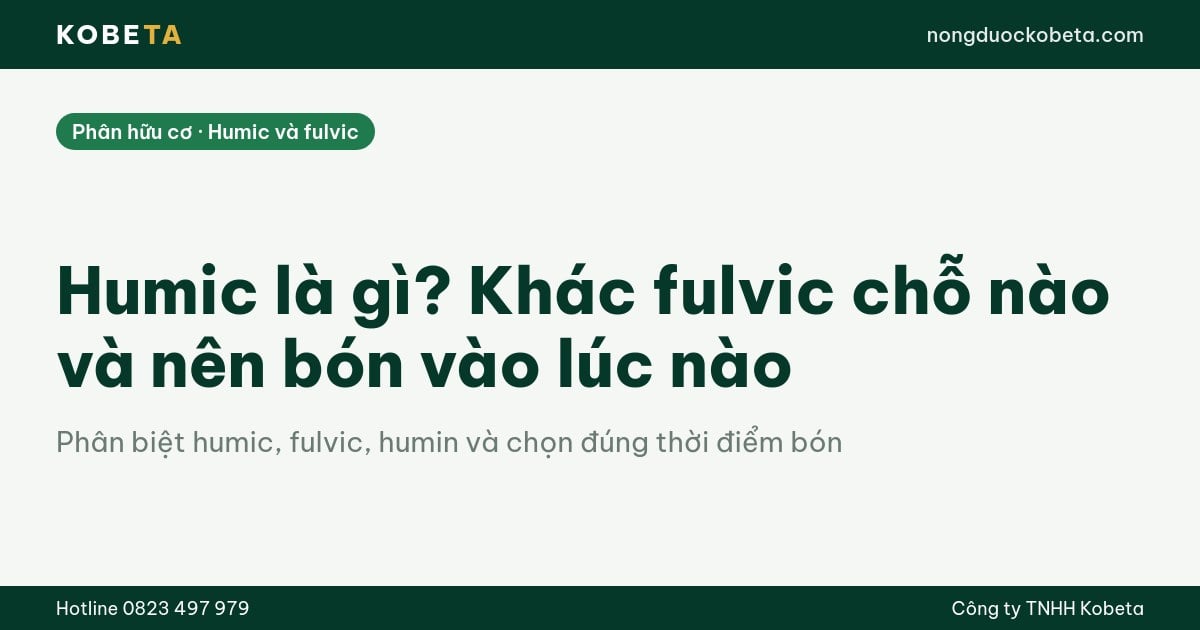 Humic là gì? Khác fulvic chỗ nào và nên bón vào lúc nào
