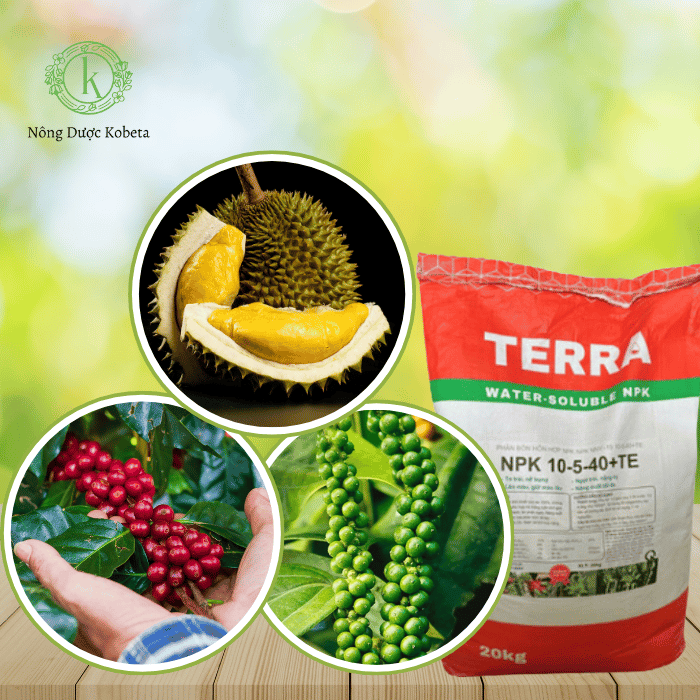 Chọn phân NPK theo giai đoạn sinh trưởng