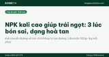 NPK kali cao giúp trái ngọt: 3 lúc bón sai, dạng hoà tan