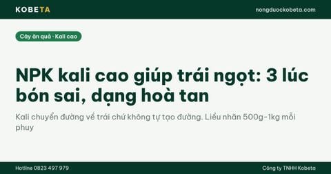 NPK kali cao giúp trái ngọt: 3 lúc bón sai, dạng hoà tan