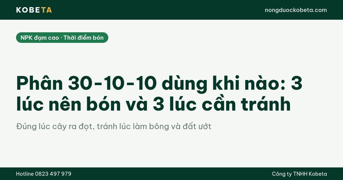 Phân 30-10-10 dùng khi nào: 3 lúc nên bón và 3 lúc cần tránh