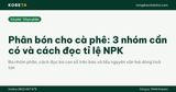 Phân bón cho cà phê: 3 nhóm cần có và cách đọc tỉ lệ NPK