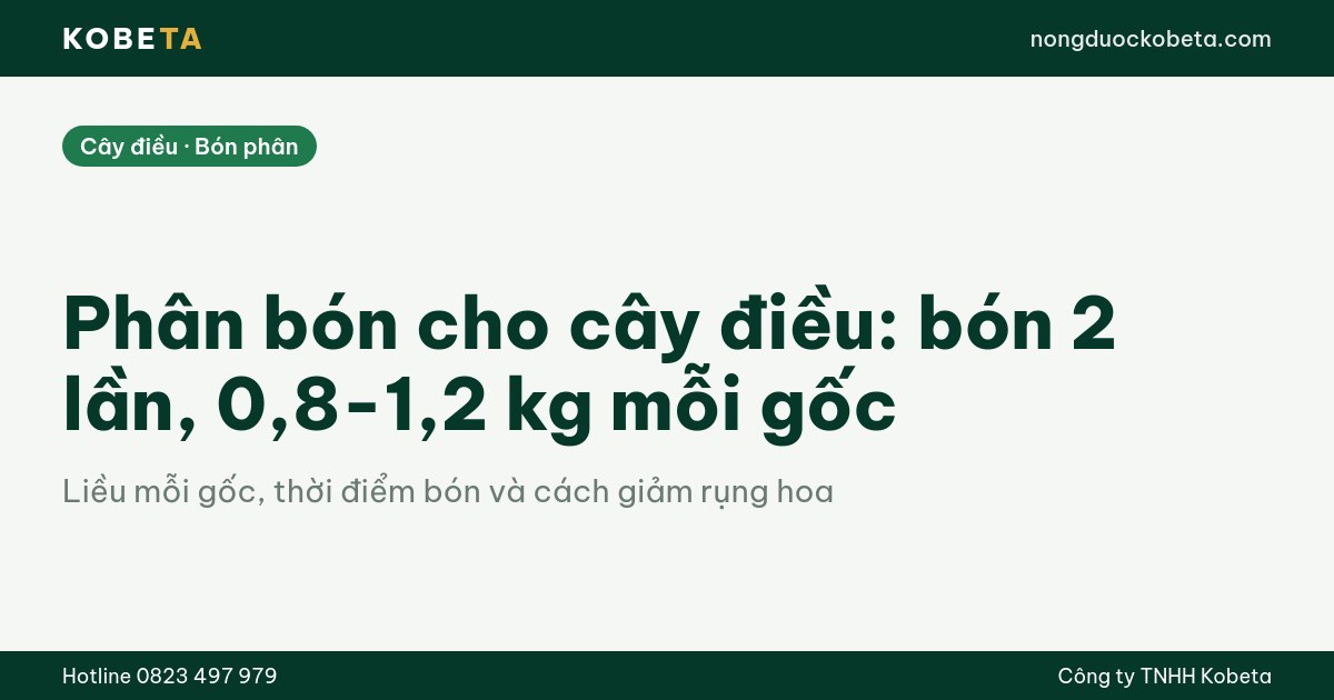 Phân bón cho cây điều: bón 2 lần, 0,8-1,2 kg mỗi gốc