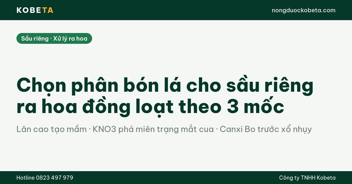 Chọn phân bón lá cho sầu riêng ra hoa đồng loạt theo 3 mốc