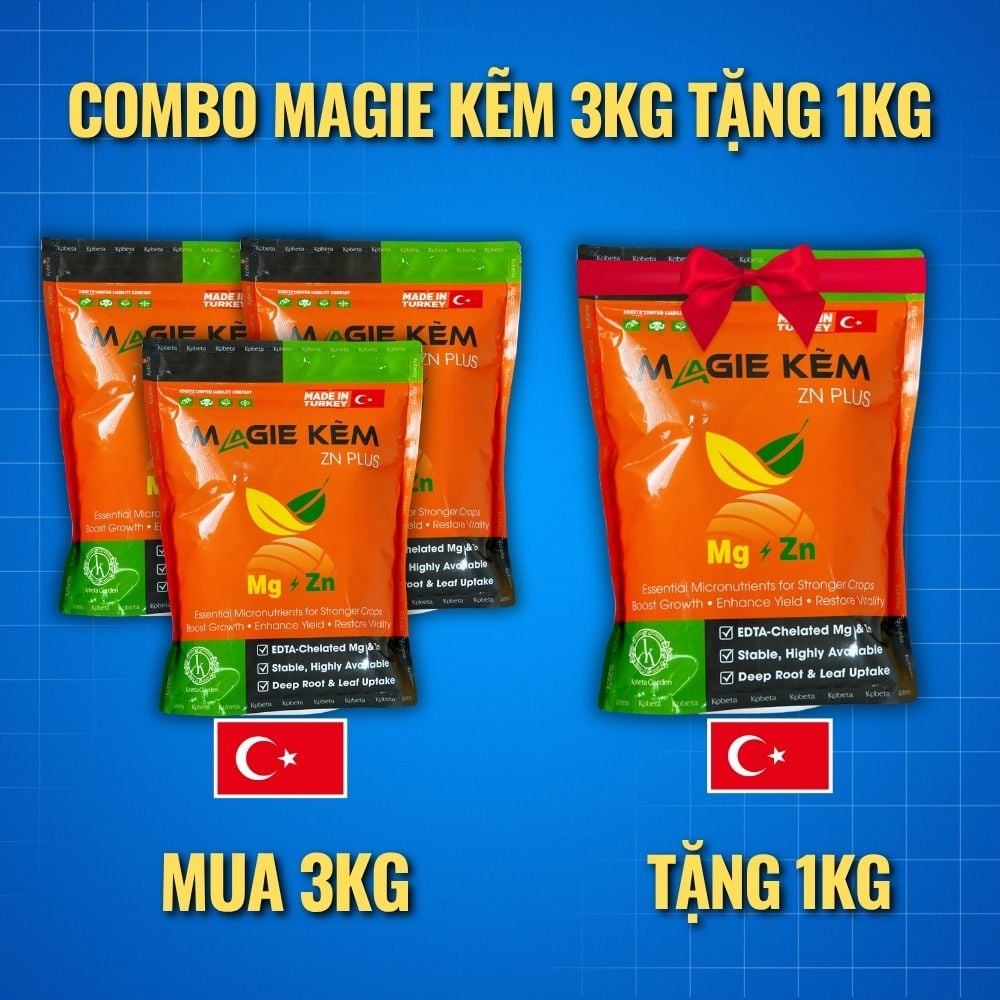 Phân bón Magie Kẽm cho sầu riêng: vai trò, cách pha và các quy cách đang bán