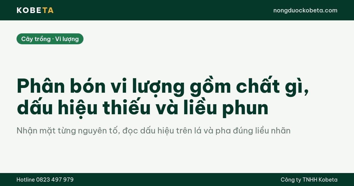 Phân bón vi lượng gồm chất gì, dấu hiệu thiếu và liều phun