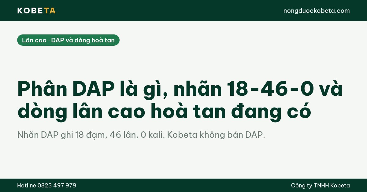Phân DAP là gì, nhãn 18-46-0 và dòng lân cao hoà tan đang có