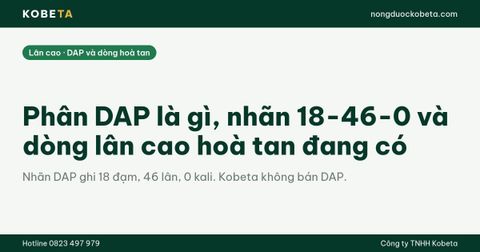 Phân DAP là gì, nhãn 18-46-0 và dòng lân cao hoà tan đang có