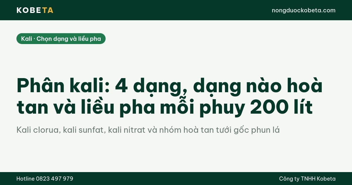 Phân kali: 4 dạng, dạng nào hoà tan và liều pha mỗi phuy 200 lít