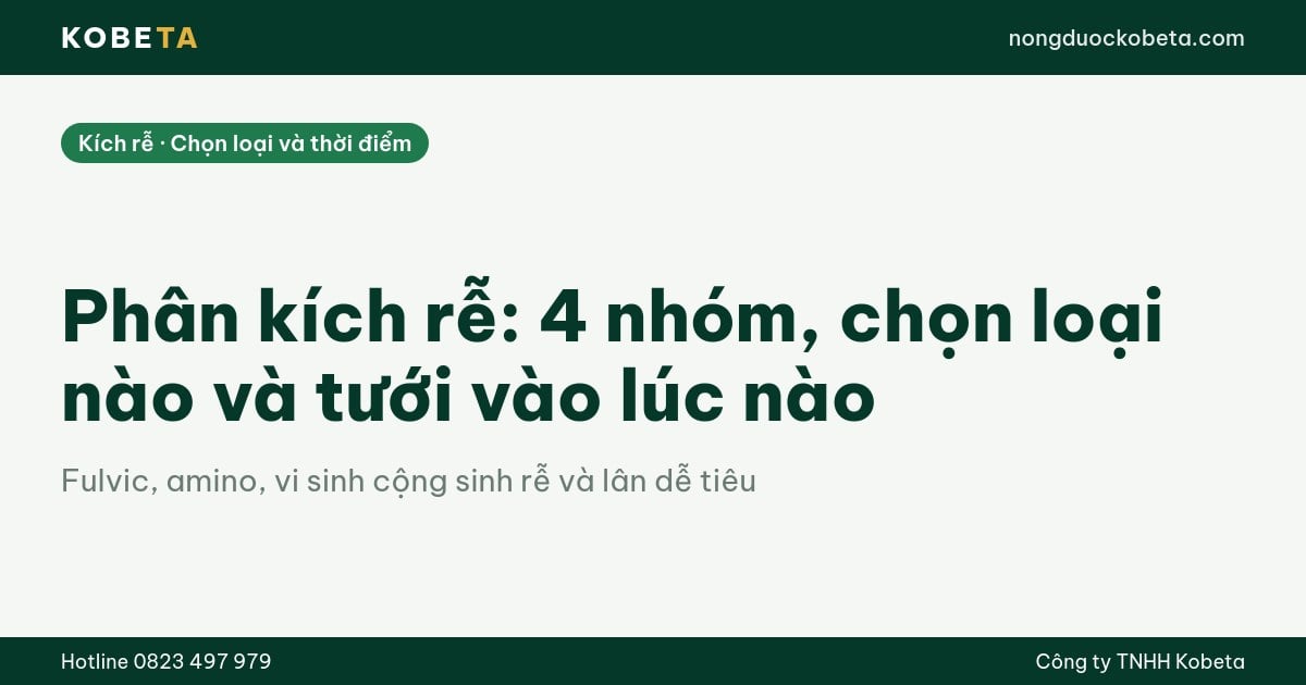 Phân kích rễ: 4 nhóm, chọn loại nào và tưới vào lúc nào