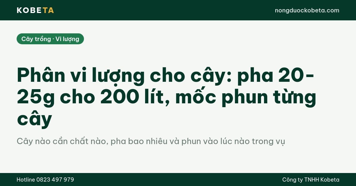 Phân vi lượng cho cây: pha 20-25g cho 200 lít, mốc phun từng cây