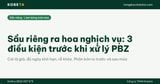 Sầu riêng ra hoa nghịch vụ: 3 điều kiện trước khi xử lý PBZ